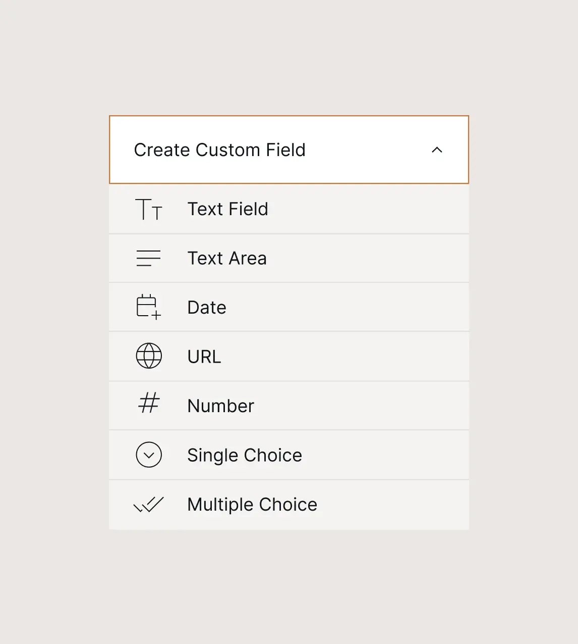 CUSTOM FIELDS