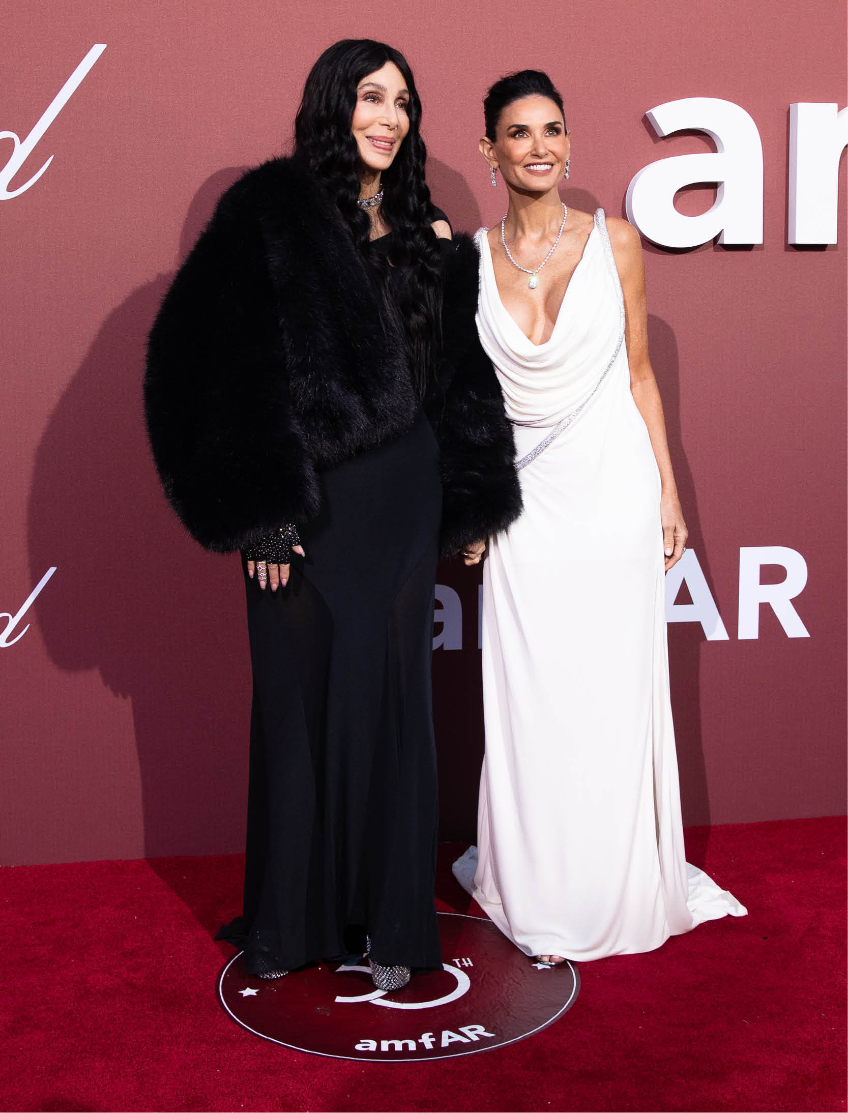 Cannes Film Festival 2024 Cher Demi Moore