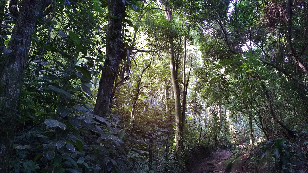 zkipster and sustainability: 3 years as a Climate Neutral Certified brand