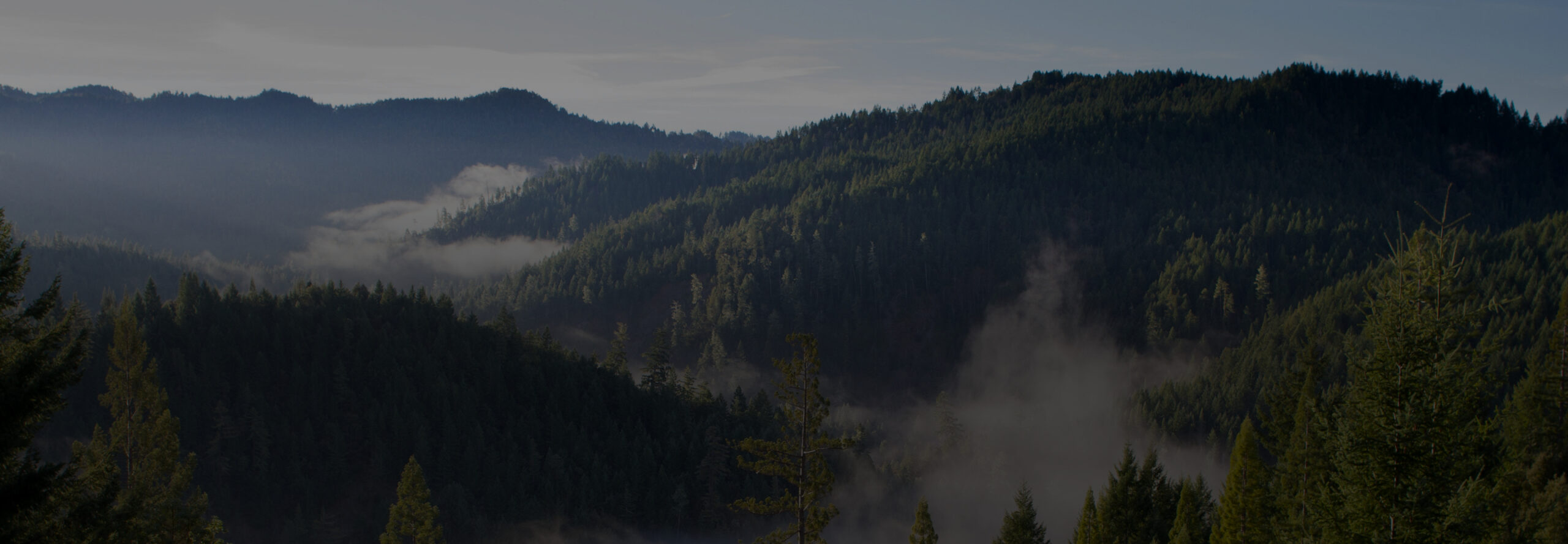 zkipster is Climate Neutral Certified