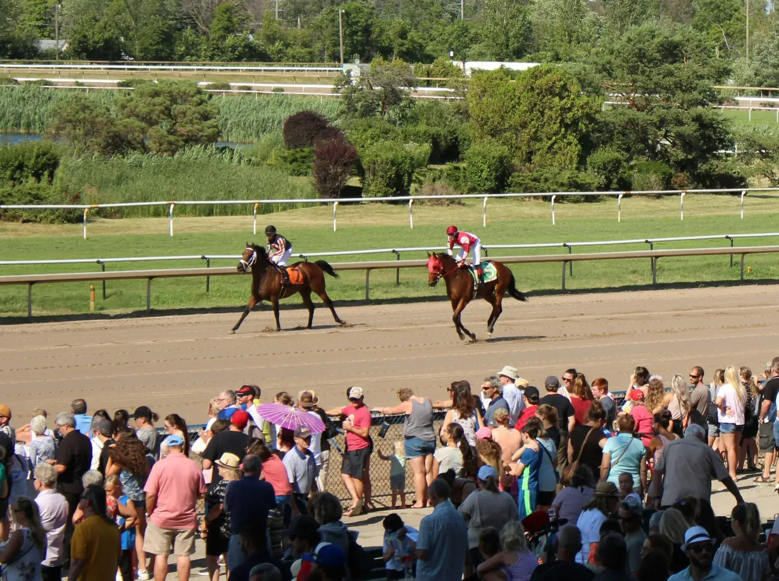 Sports Hospitality - Spectators watching horse racing